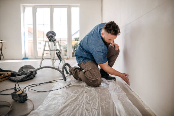 Best Drywall Sanding and Smoothing  in USA